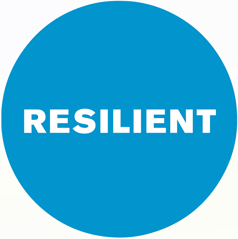 Global Resilient Cities Network